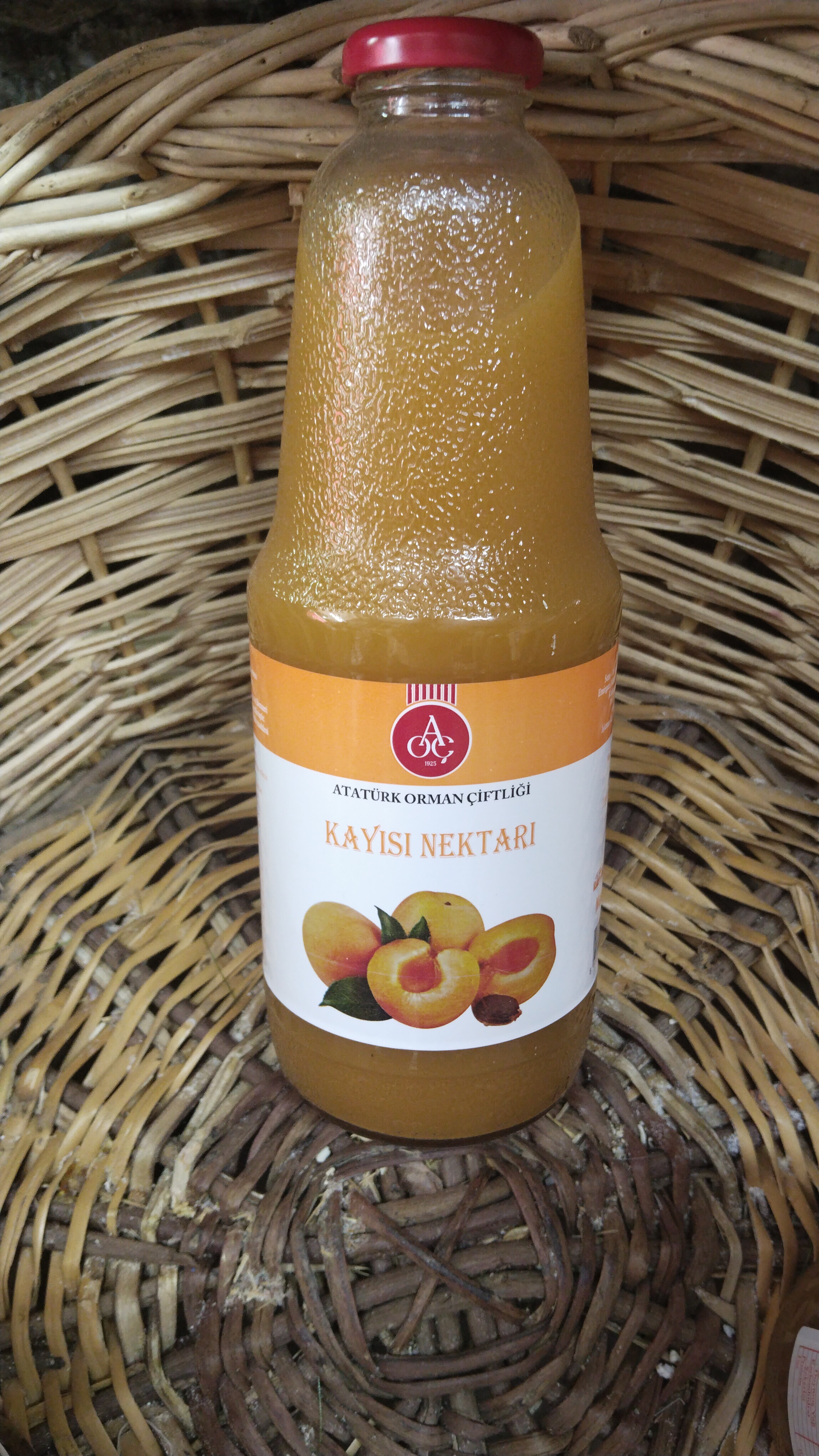 AOÇ Kayısı Nektarı